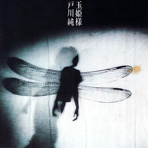 宋智孝激情自慰
